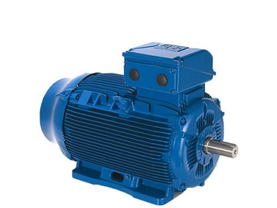 WEG万高-W22电机